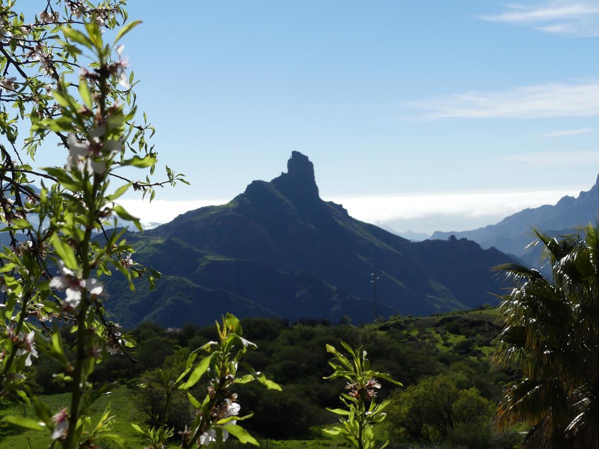 Hostal Mountain La Isa By Rose Tejeda (Gran Canaria)