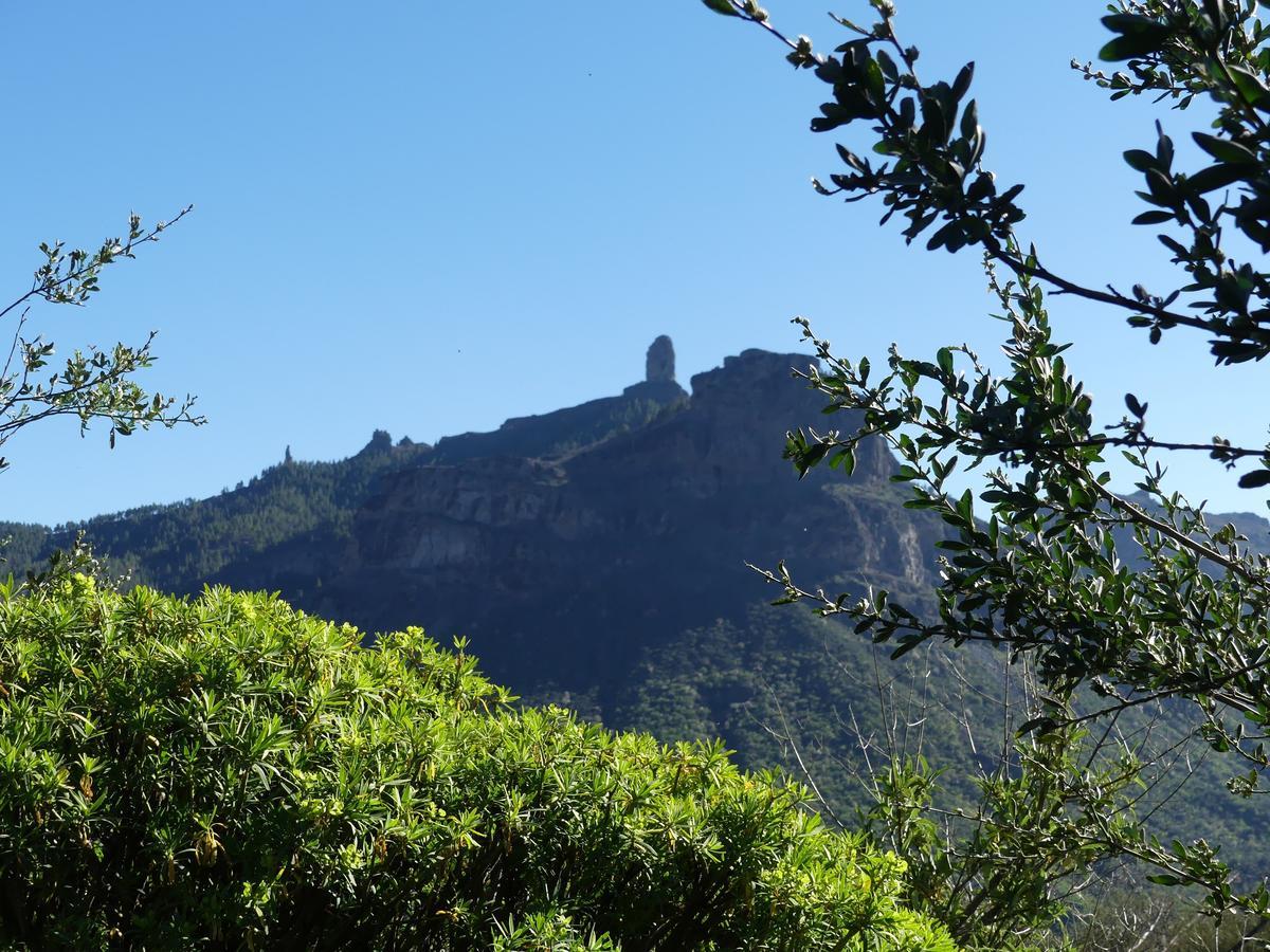 Mountain La Isa By Rose Hostal Tejeda (Gran Canaria)