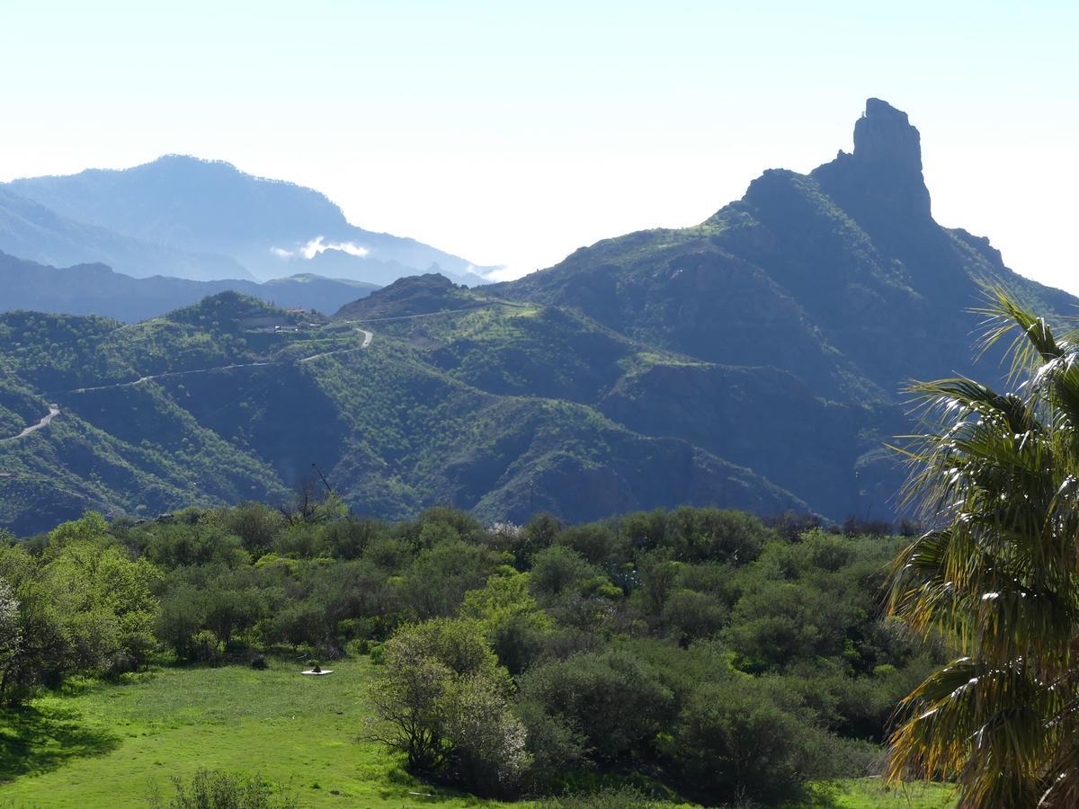 Mountain La Isa By Rose *