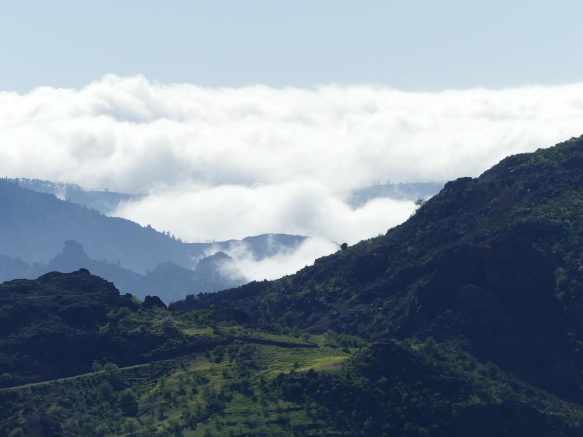 Mountain La Isa By Rose *