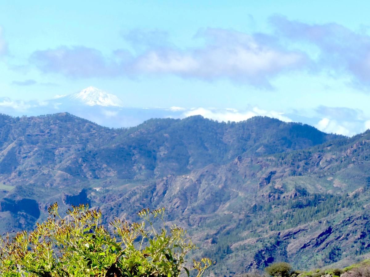 Mountain La Isa By Rose *