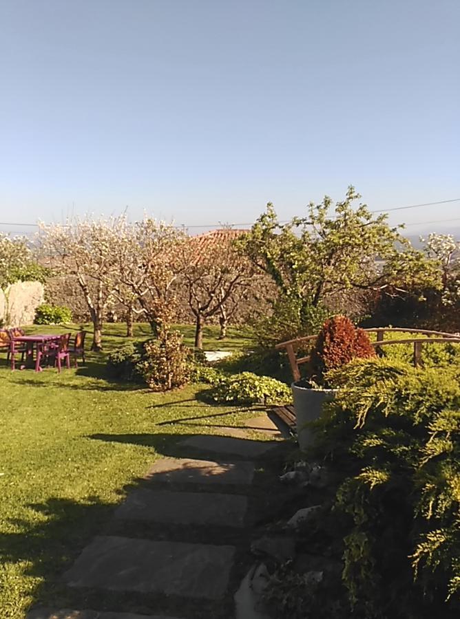 Campo (adults Only) 3*