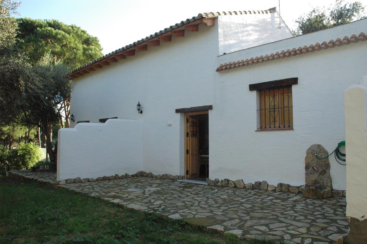 El Abuelo *