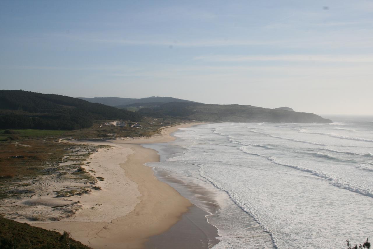 Pereirina Cee