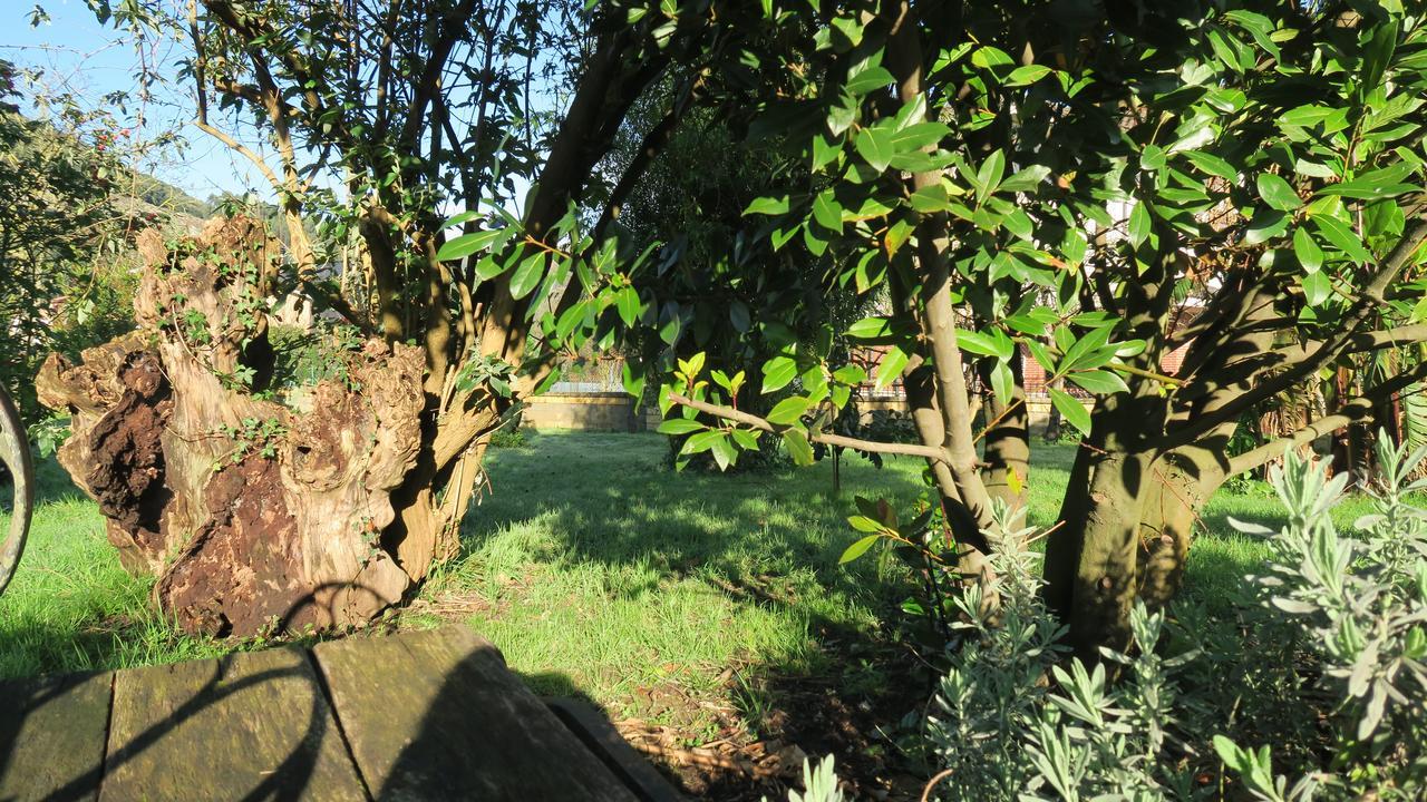 Inn Casa Rosalia