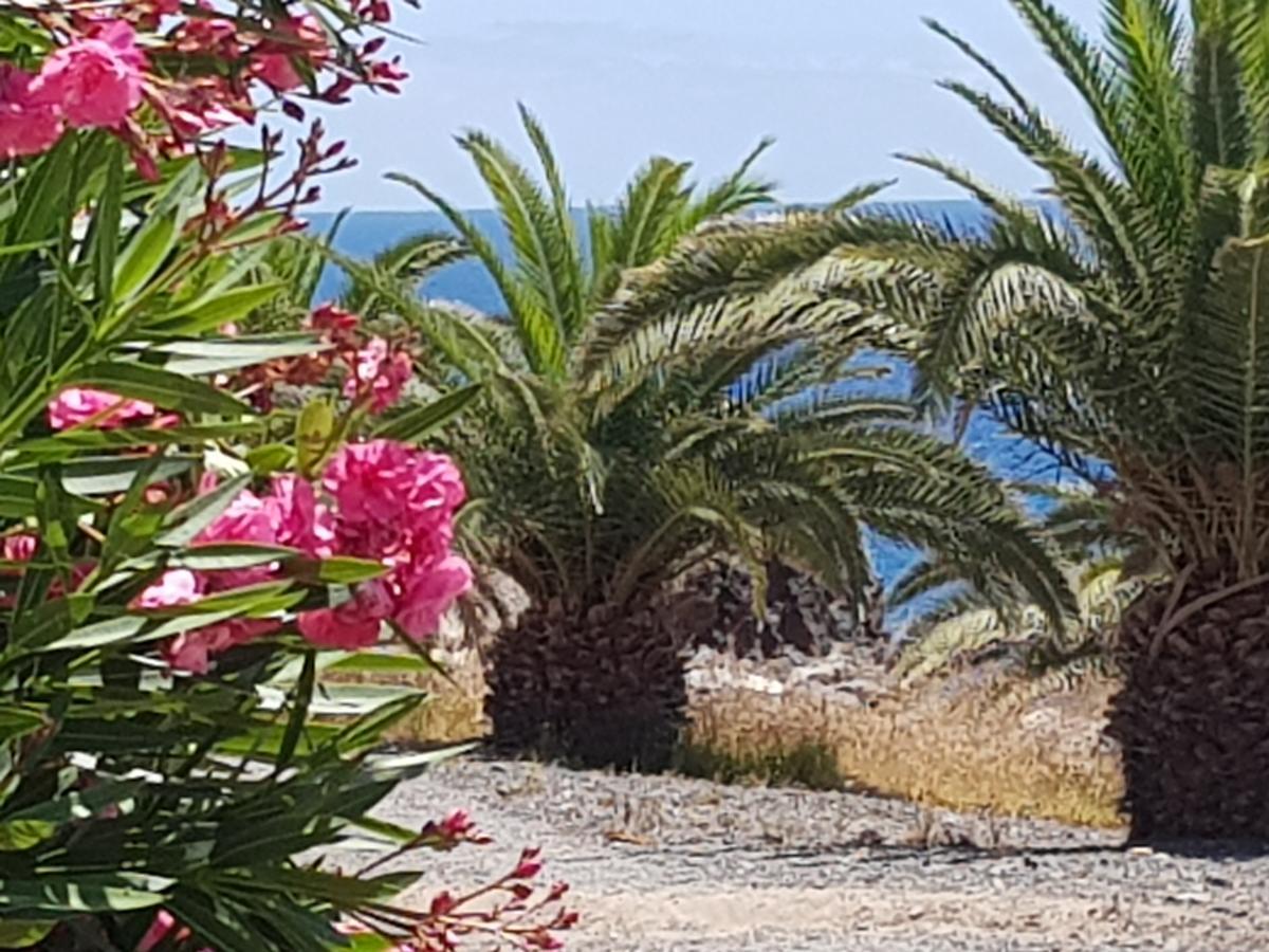 Ocean View Close To Beach With Pool & Wifi Apartamento Callao Salvaje
