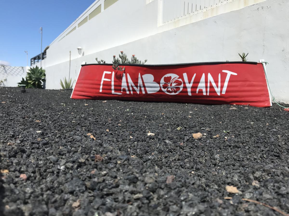 Flamboyant Adults Only * Puerto del Carmen (Lanzarote)