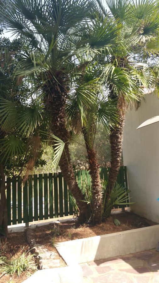 Chabola Holiday home Denia