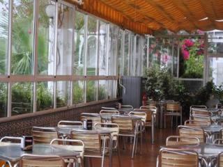 Hotel La Palmosa 3*