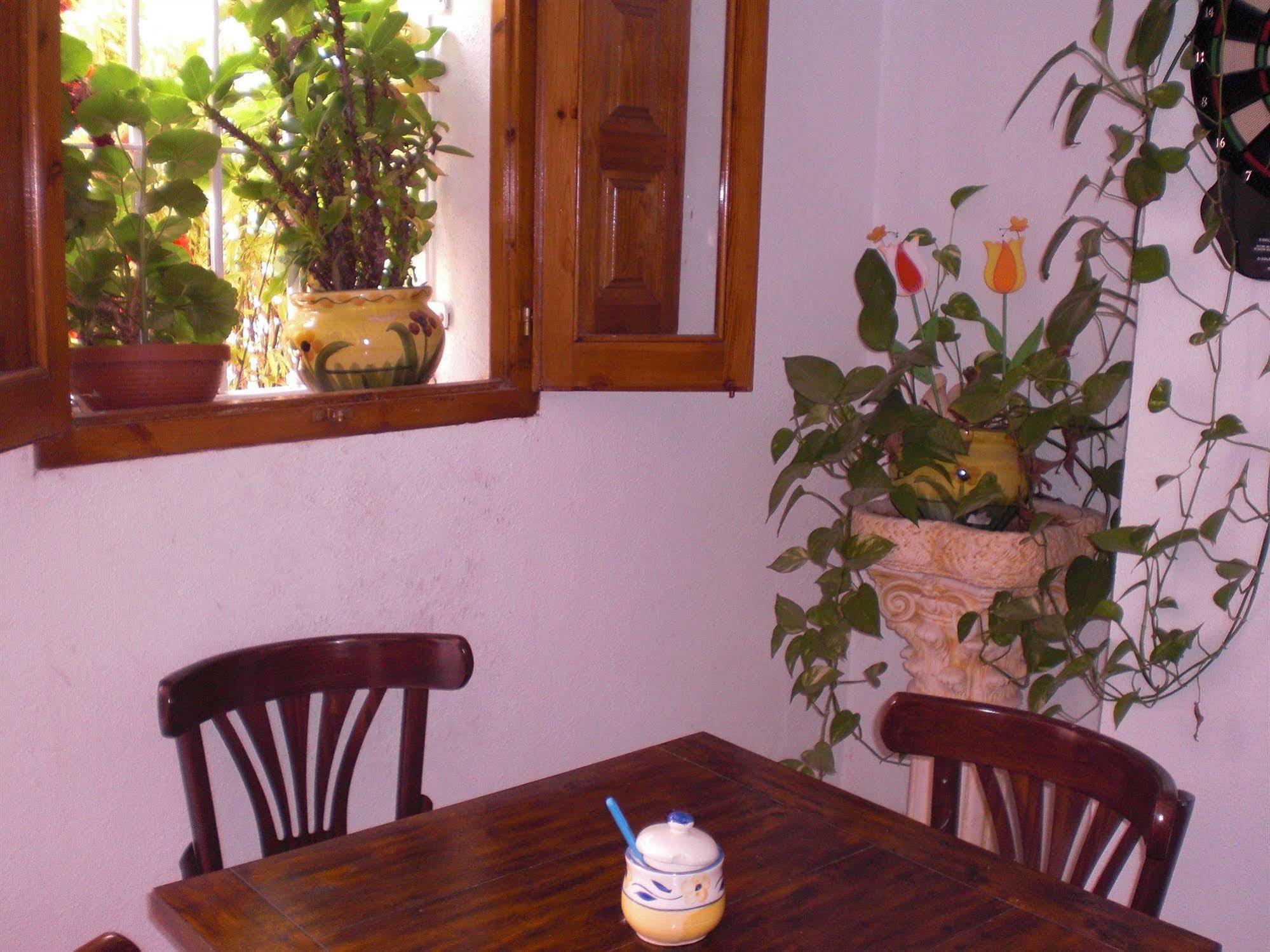 La Paloma Ii 2*