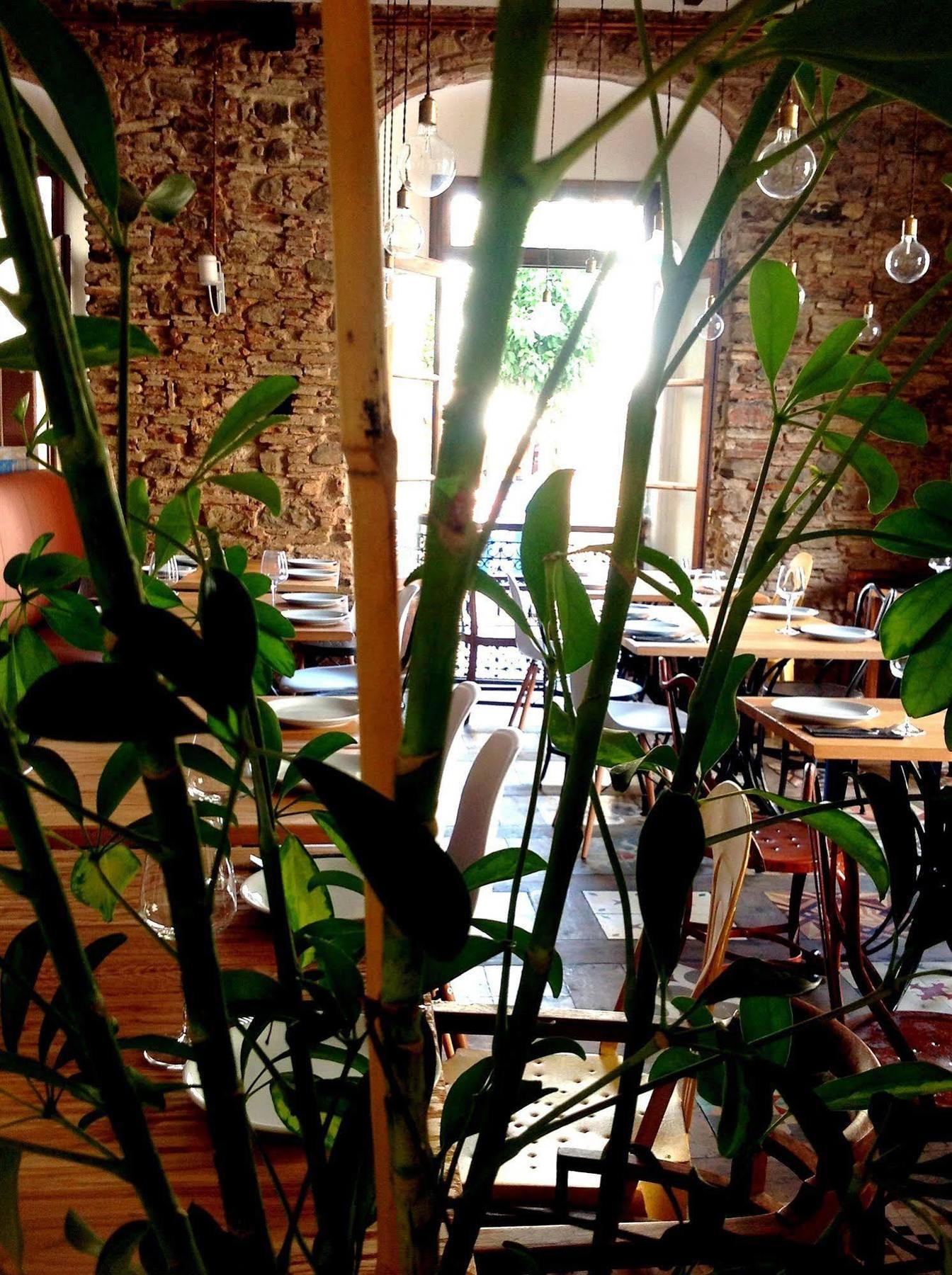 Hotel Misiana Tarifa