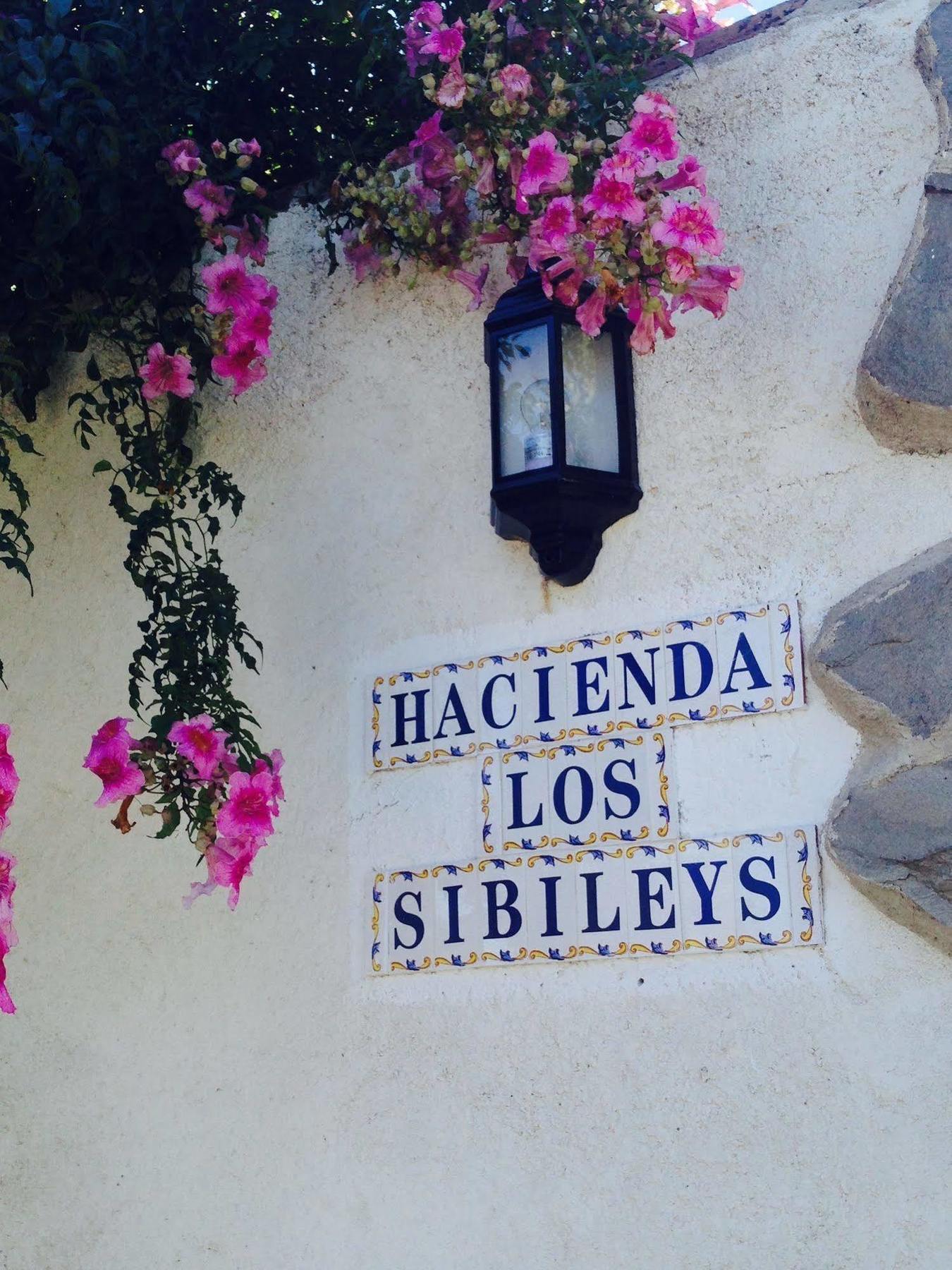Sibileys 2*
