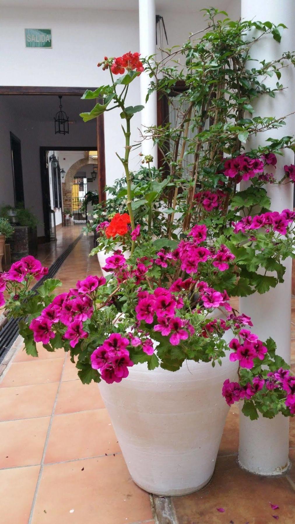 Hotel Boutique Puerta Del Rincon