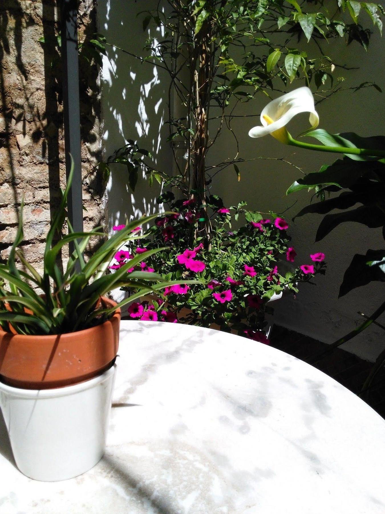 Hotel Boutique Puerta Del Rincon 2* Cordoba