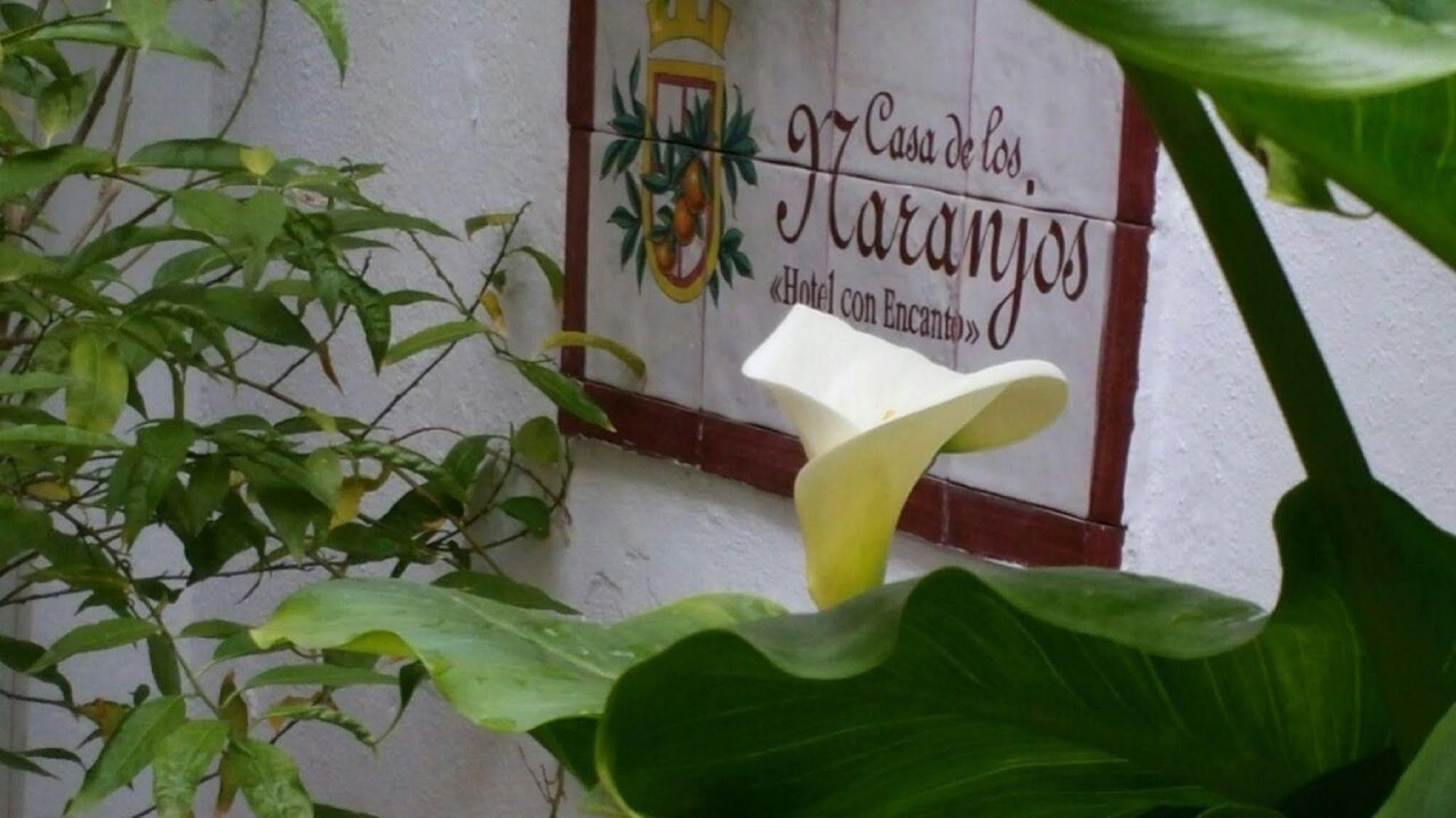 Hotel Boutique Puerta Del Rincon