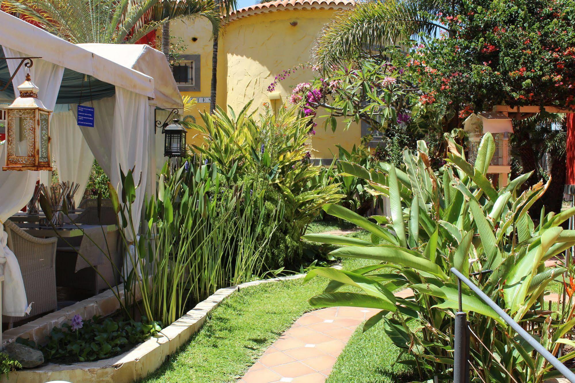 Pasion Tropical - Gay Only (adults Only) Playa del Águila