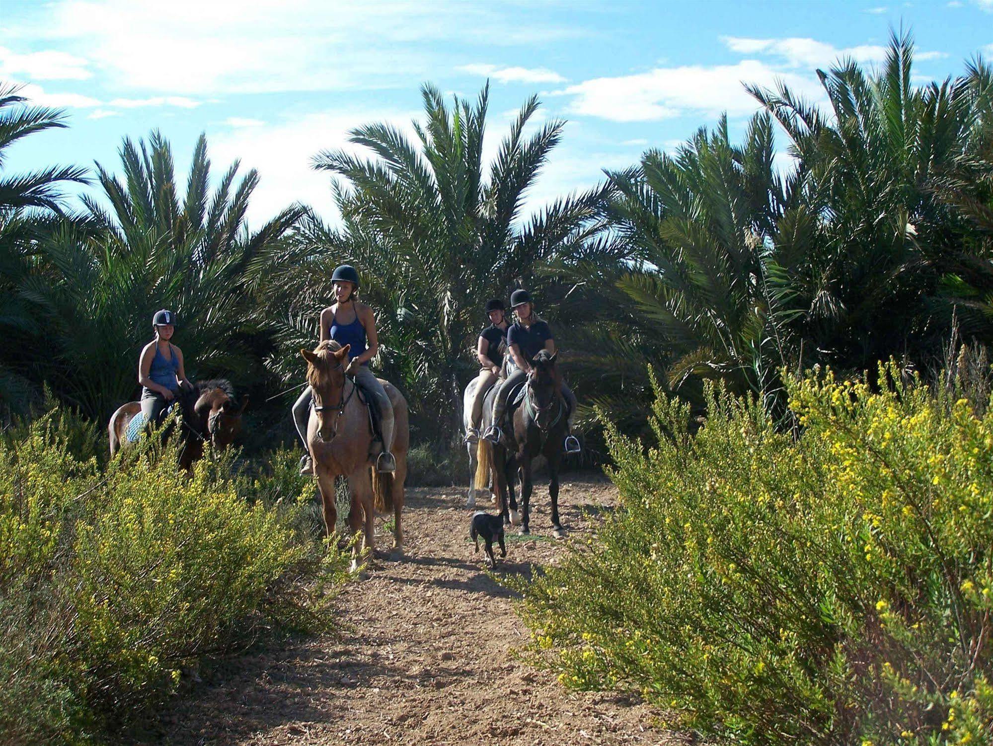 El Rancho Montesinos - Torrevieja Los Montesinos