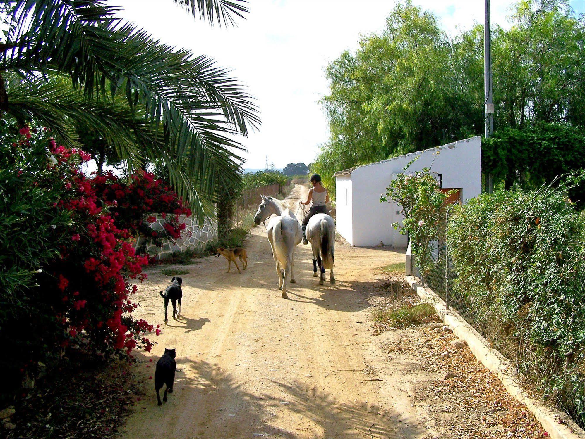 El Rancho Montesinos - Torrevieja Hotel Los Montesinos