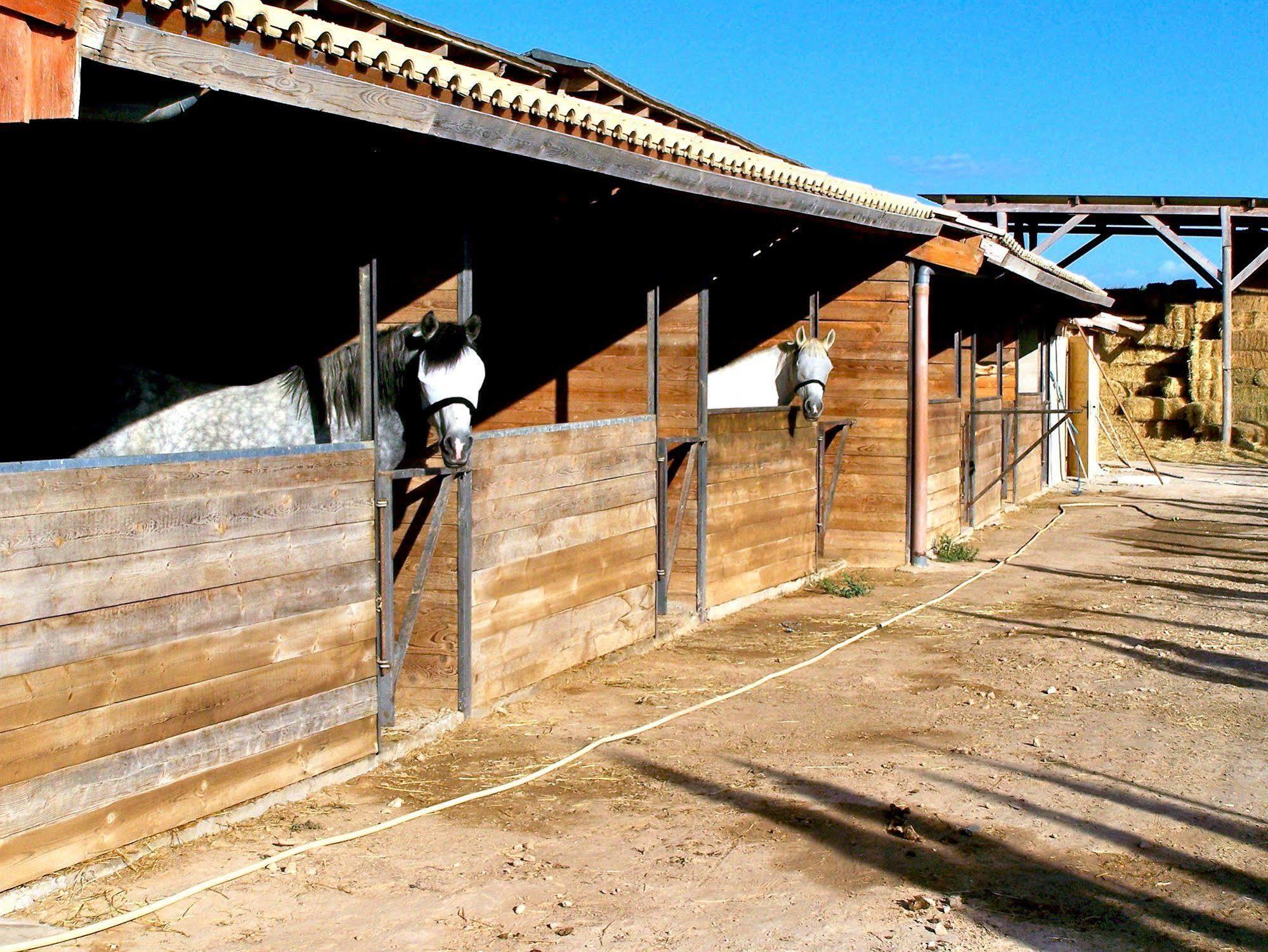 Hotel El Rancho Montesinos - Torrevieja Los Montesinos