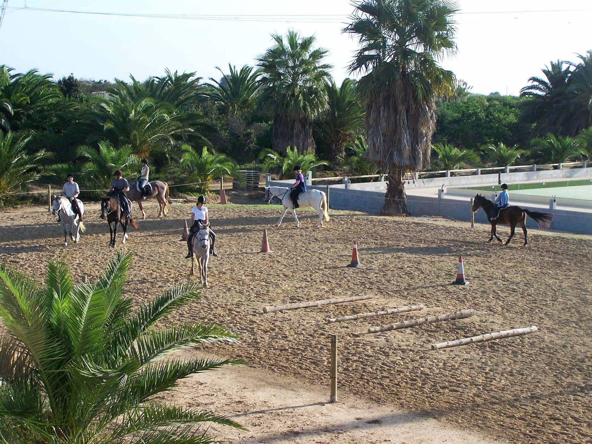 El Rancho Montesinos - Torrevieja