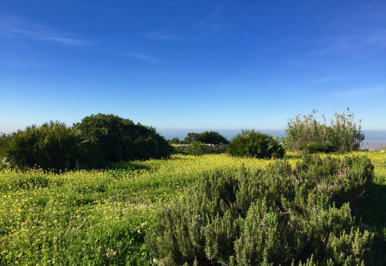 Homestay Finca Higueron Vejer de la Frontera