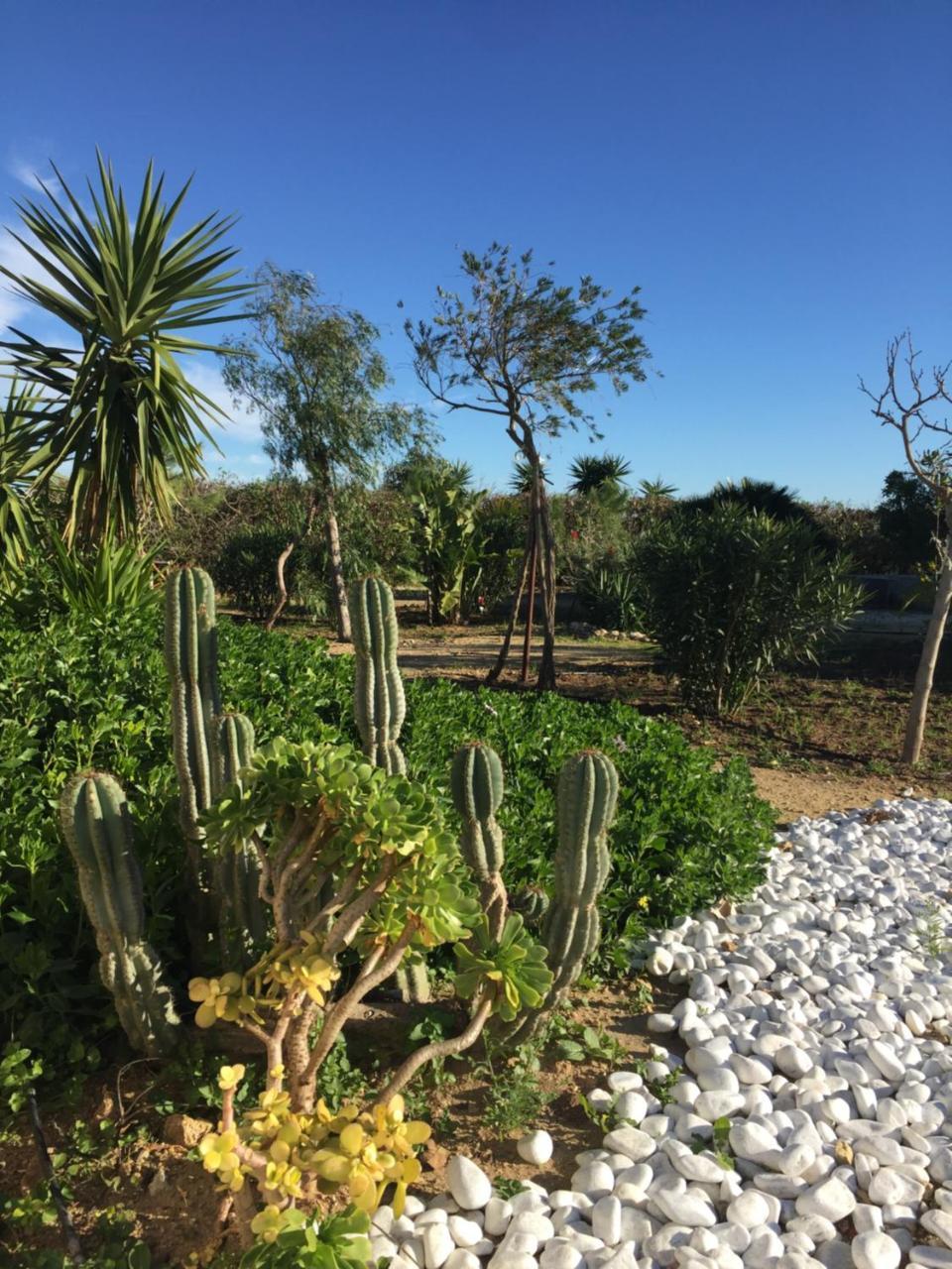 Homestay Finca Higueron *