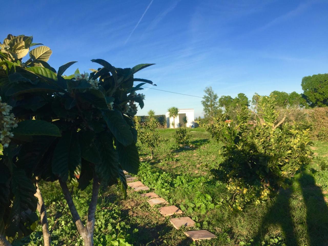 Finca Higueron Homestay Vejer de la Frontera