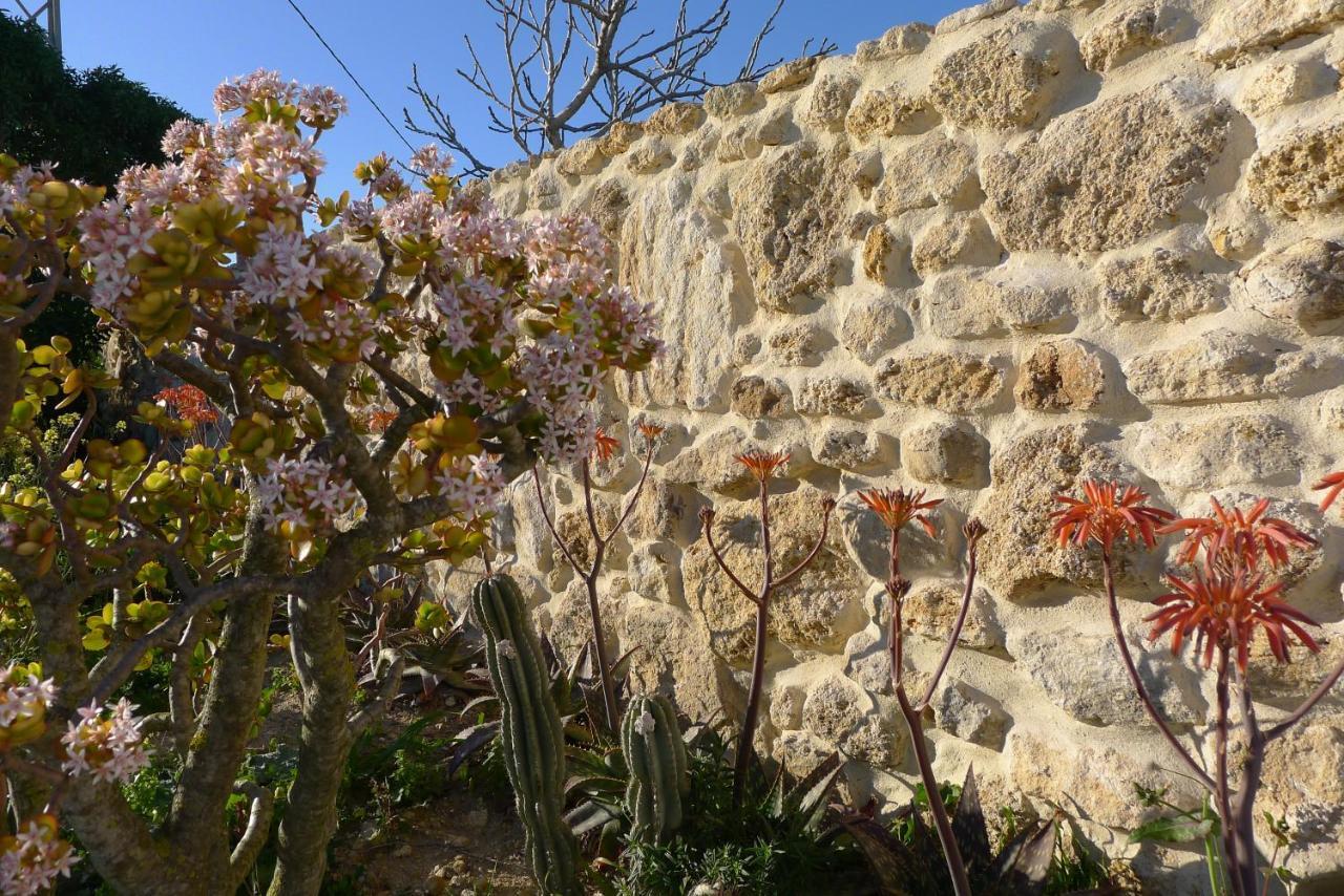 Homestay Finca Higueron Vejer de la Frontera