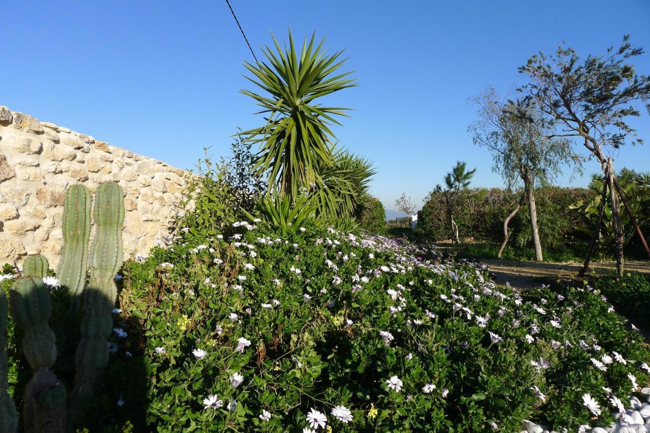 Finca Higueron