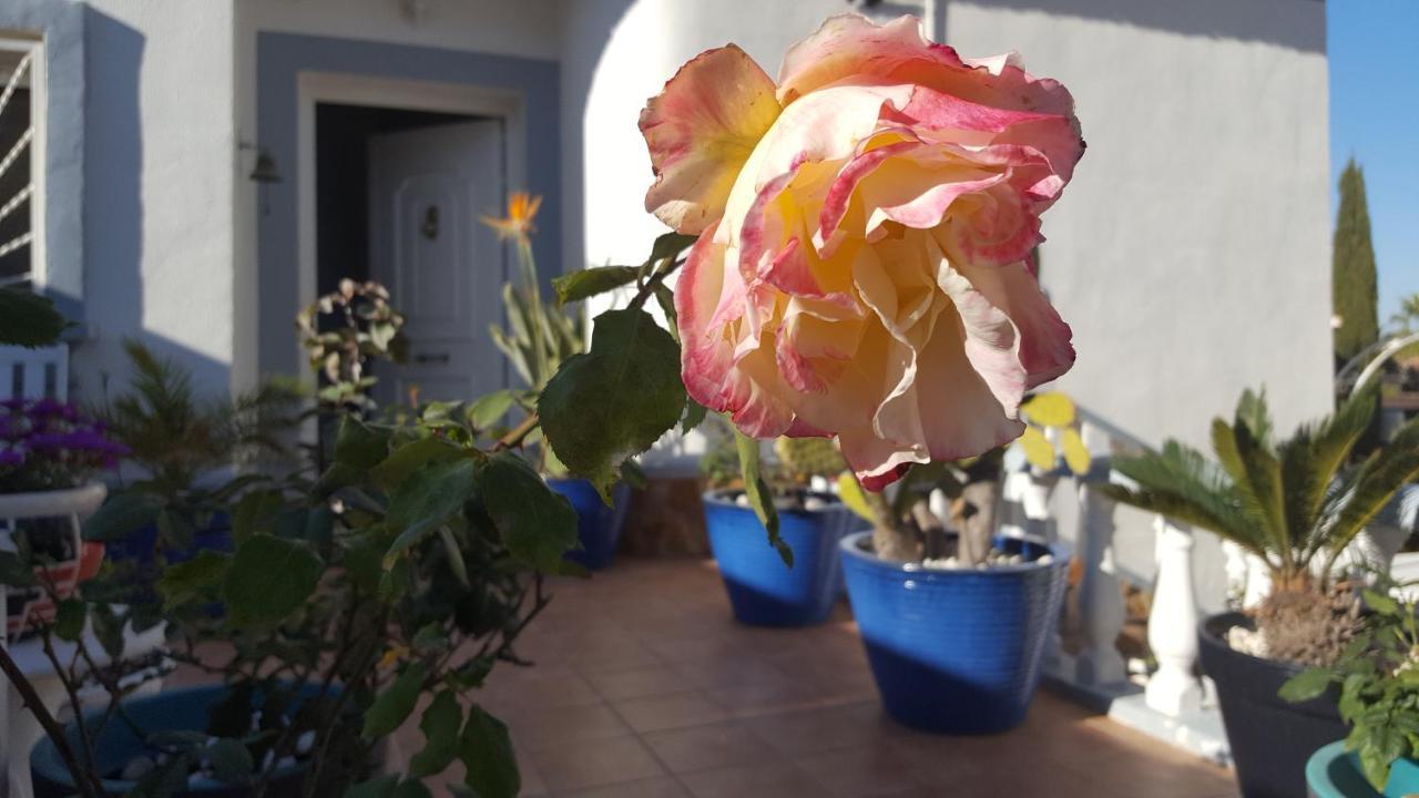 La Marquesa Apartment Rojales