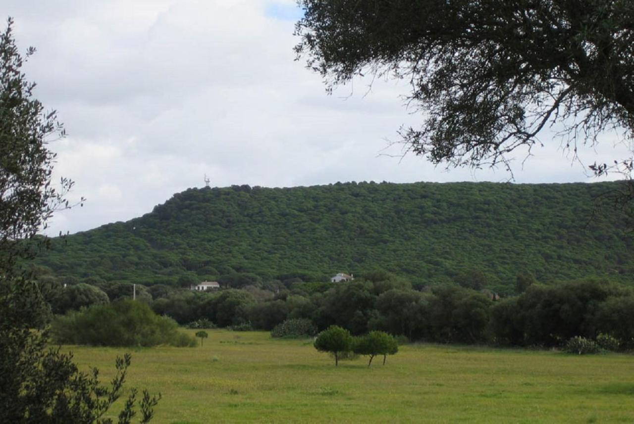 Guest house El Capi