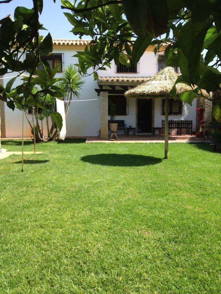 Albara Conil De La Frontera