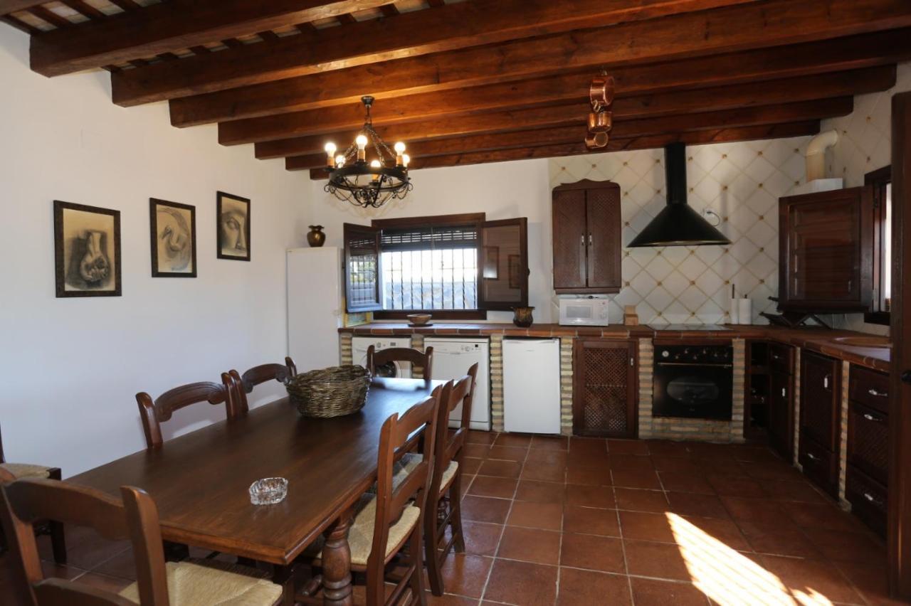Albara Conil De La Frontera