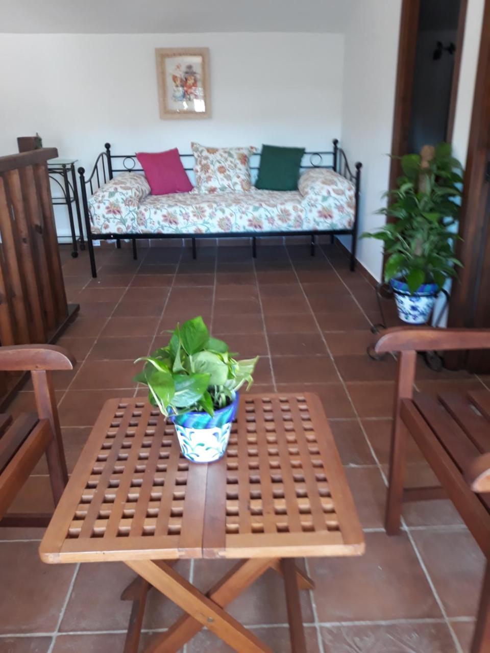 Albara Conil De La Frontera