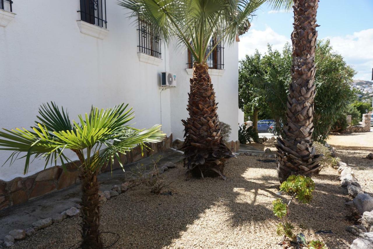 Les Pins *
