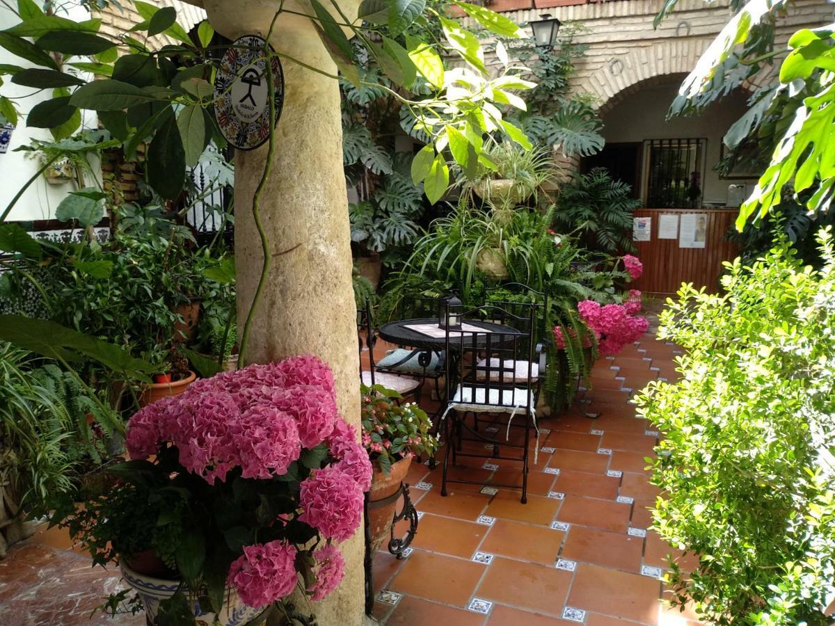 Arcos Guest house *