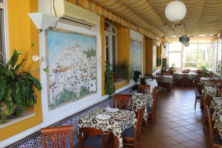 Hotel La Palmosa 3*
