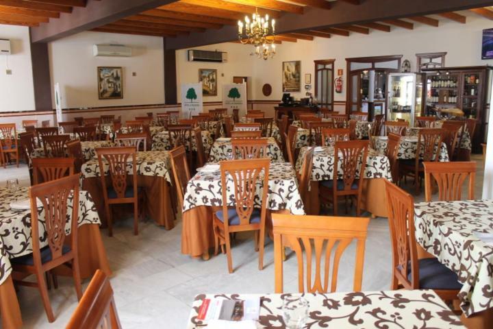 La Palmosa 3* Alcalá de los Gazules