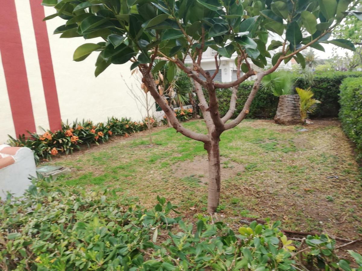 Estudios Solmar * Gandía