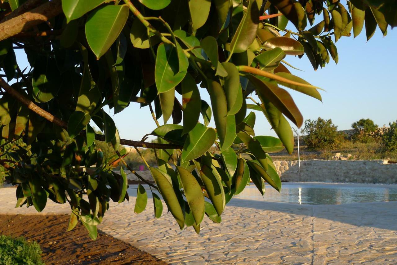 Finca Higueron *