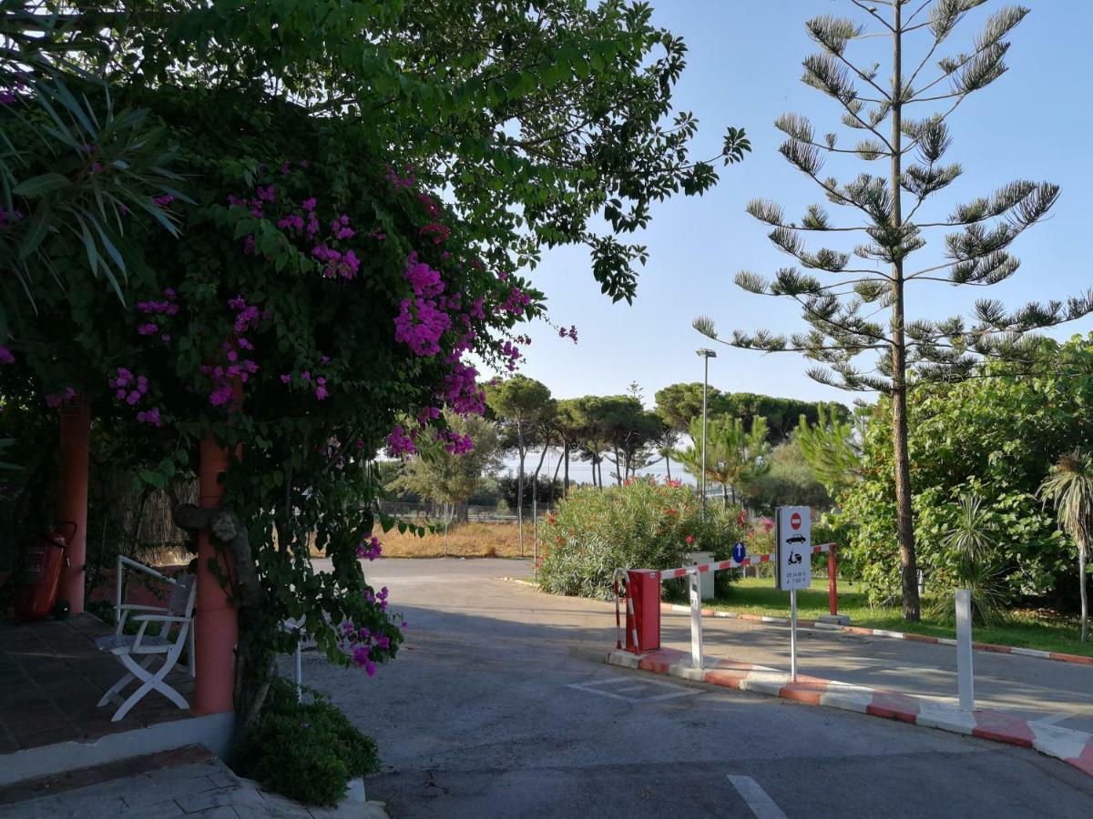 Campsite La Buganvilla Marbella