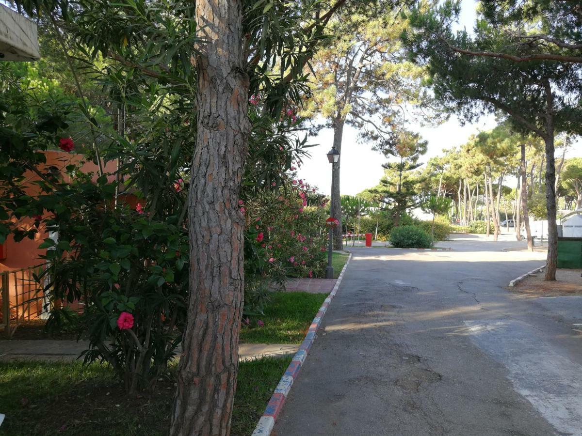 La Buganvilla Marbella