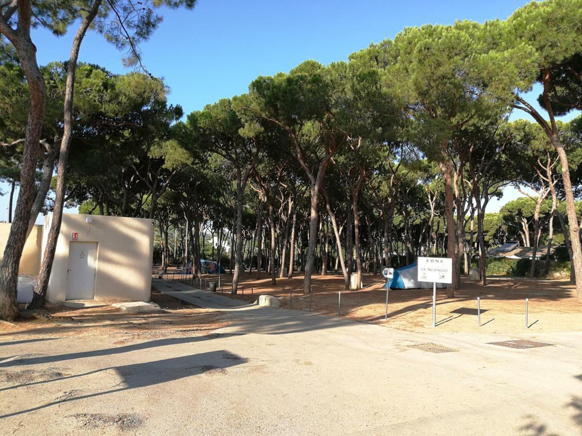 Campsite La Buganvilla
