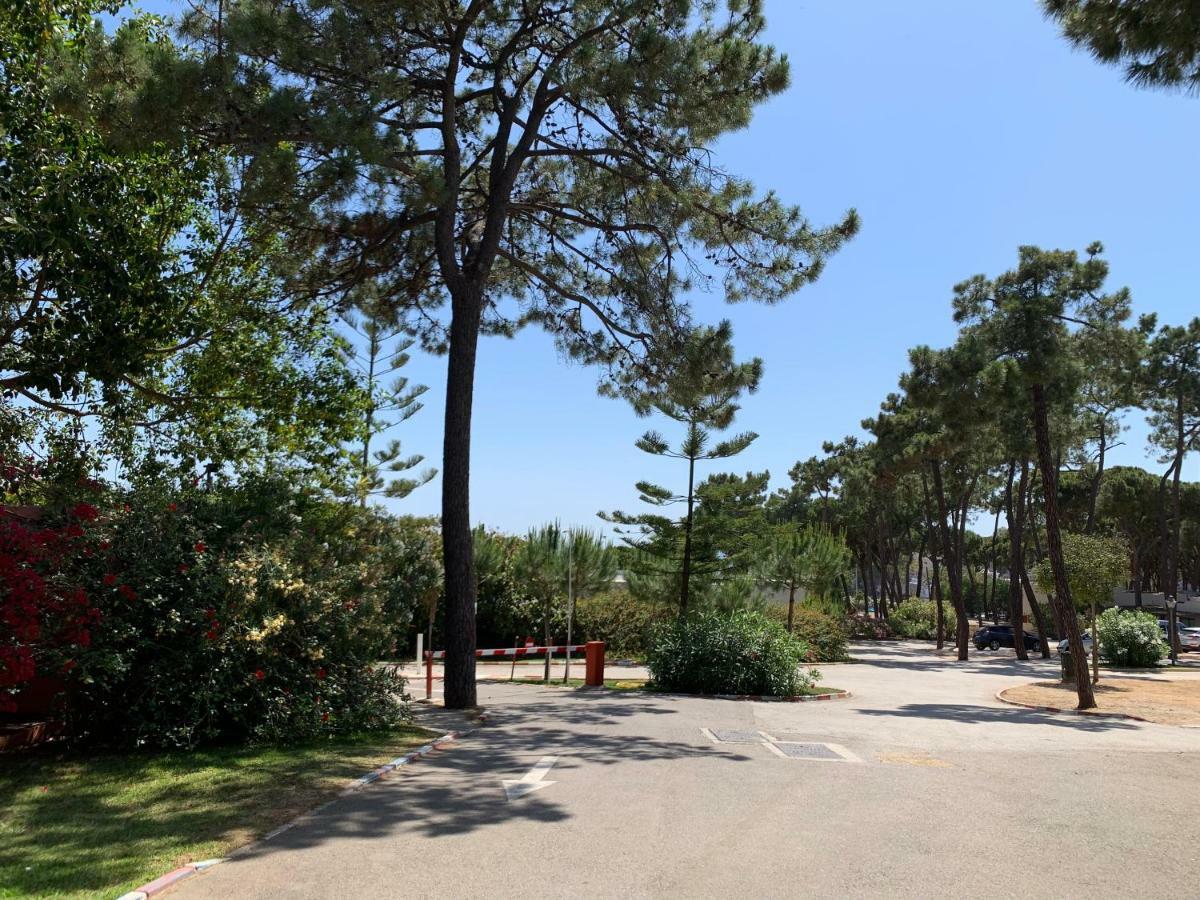 La Buganvilla Campsite