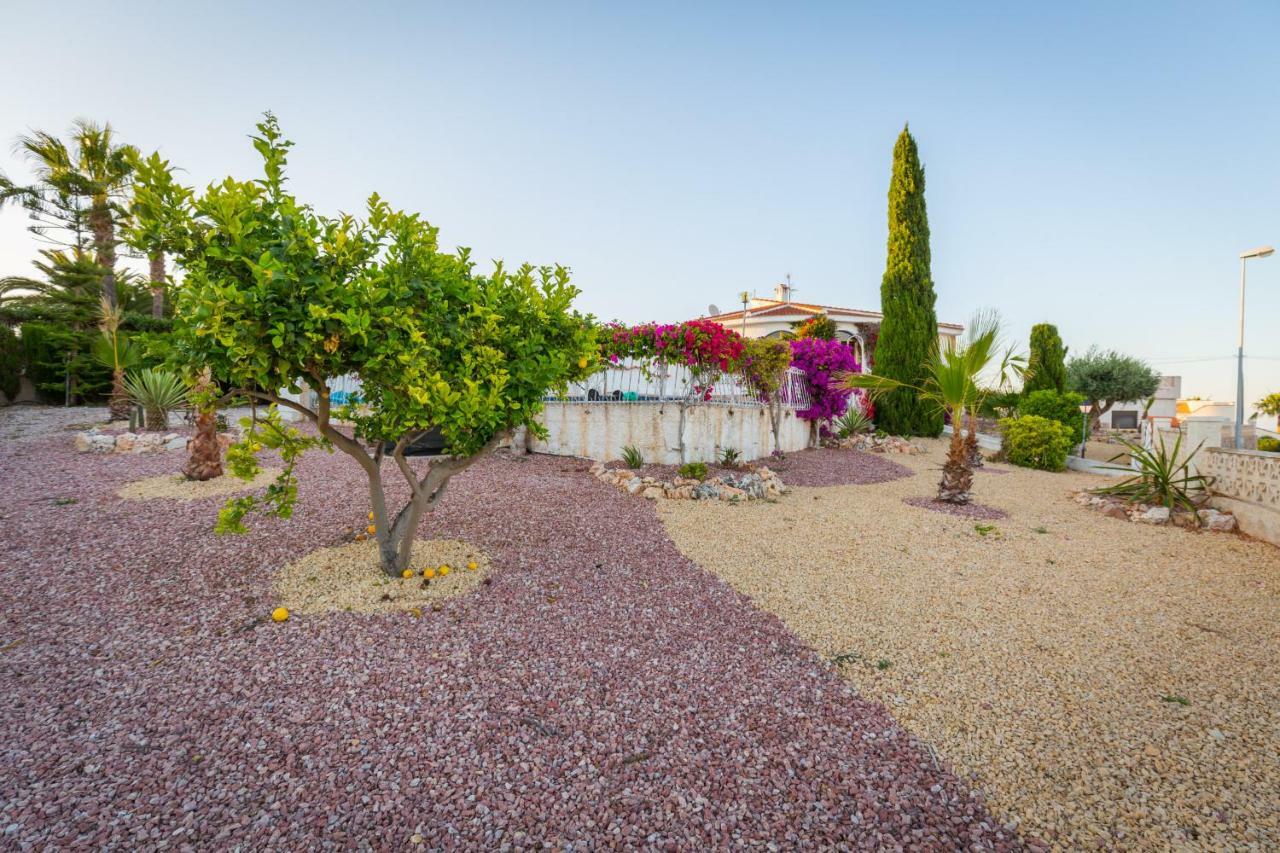 Fidalsa Safadi Amazing Views Chalet