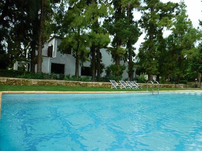 El Sequer 4* Oliva