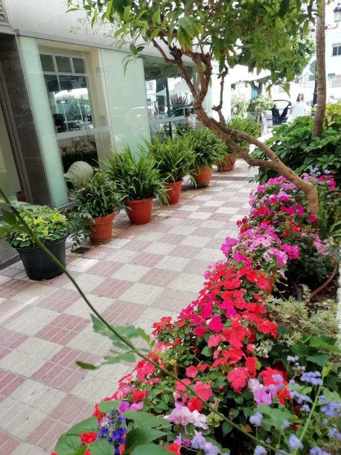 Avenida 31 Hotel