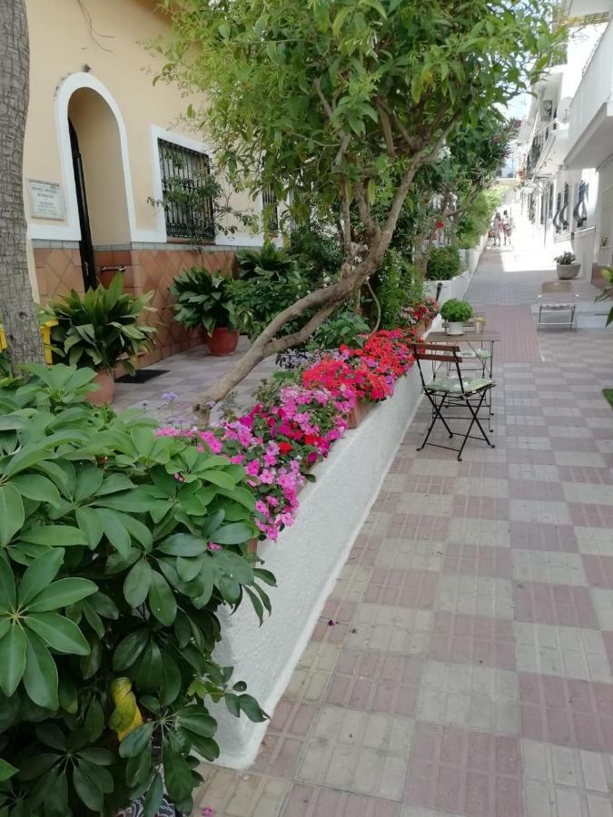 Avenida 31 2* Marbella