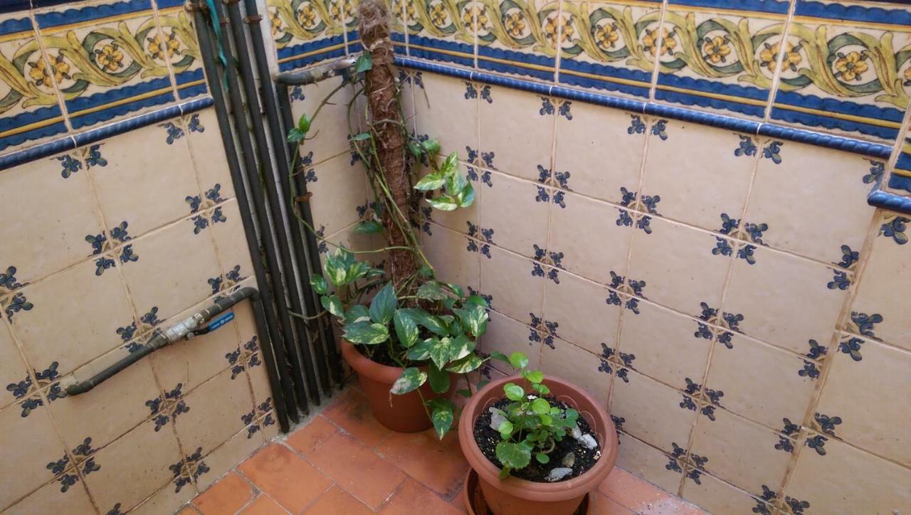 San Antonio Apartment *