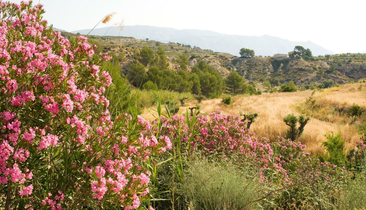 La Masia Dels Artistes Country house